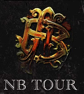 dark-horse-nickelback-tour